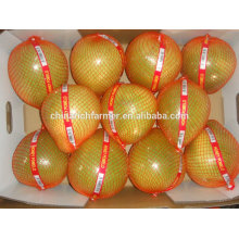 New Season High Quality Good Price Chinese Fresh Honey Pomelo